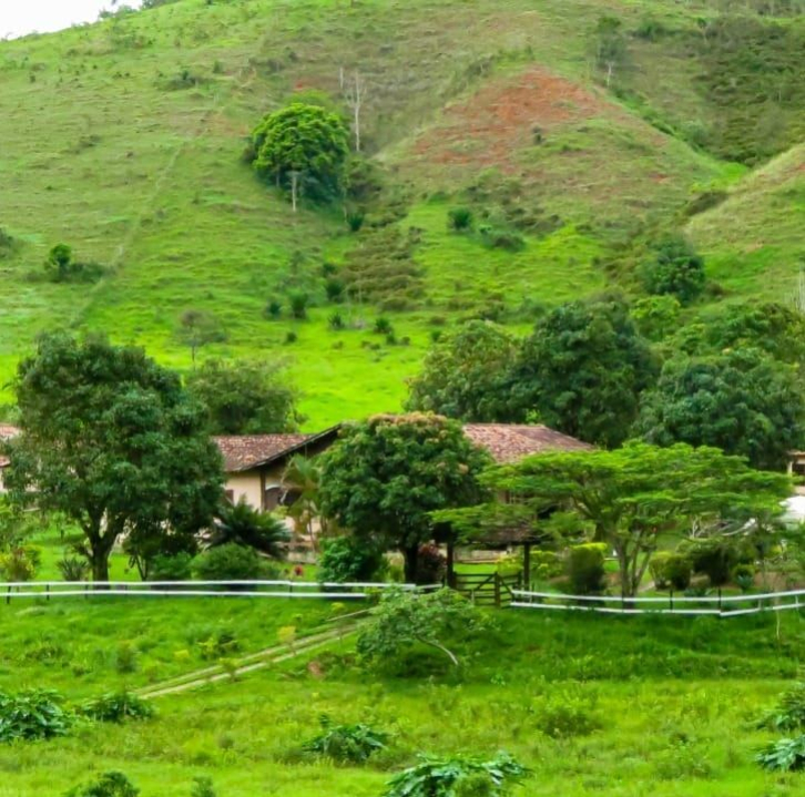 Pousada Fazenda Polyanna Mariana MG